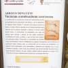 Siete Picos